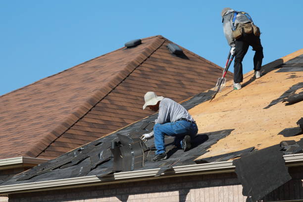 Best Roof Leak Repair  in Johnson Lane, NV