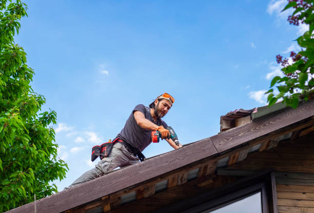  Johnson Lane, NV Roofing services Pros