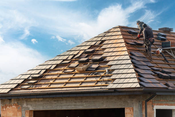 Best Asphalt Shingles Roofing  in Johnson Lane, NV