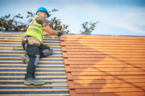 Best Roof Coating and Sealing  in Johnson Lane, NV